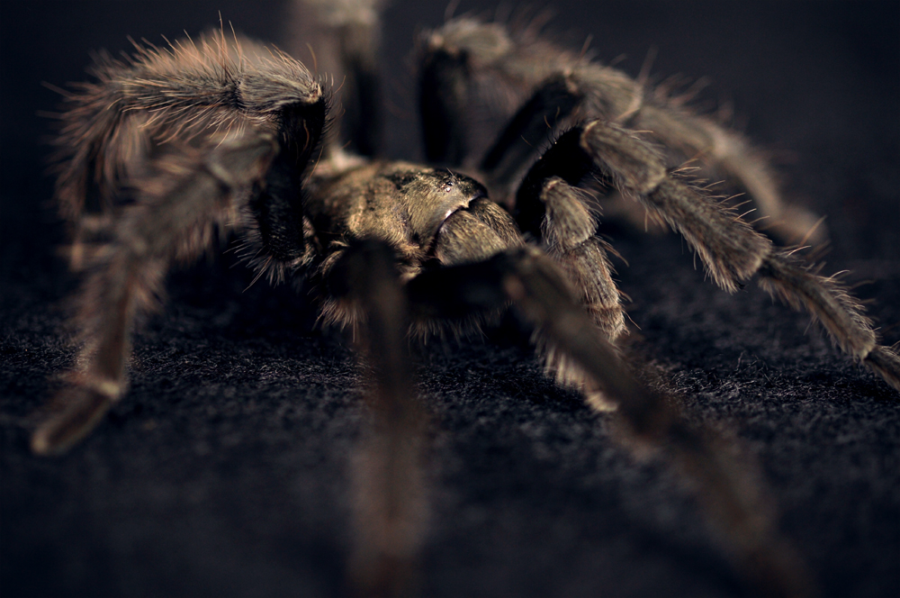 http://www.erinkoski.com/images/DSC_7847_retouch_1000a.jpg