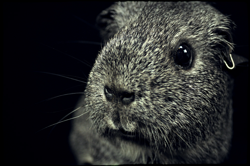 http://www.erinkoski.com/images/DSC_8768_retouch_1000a.jpg