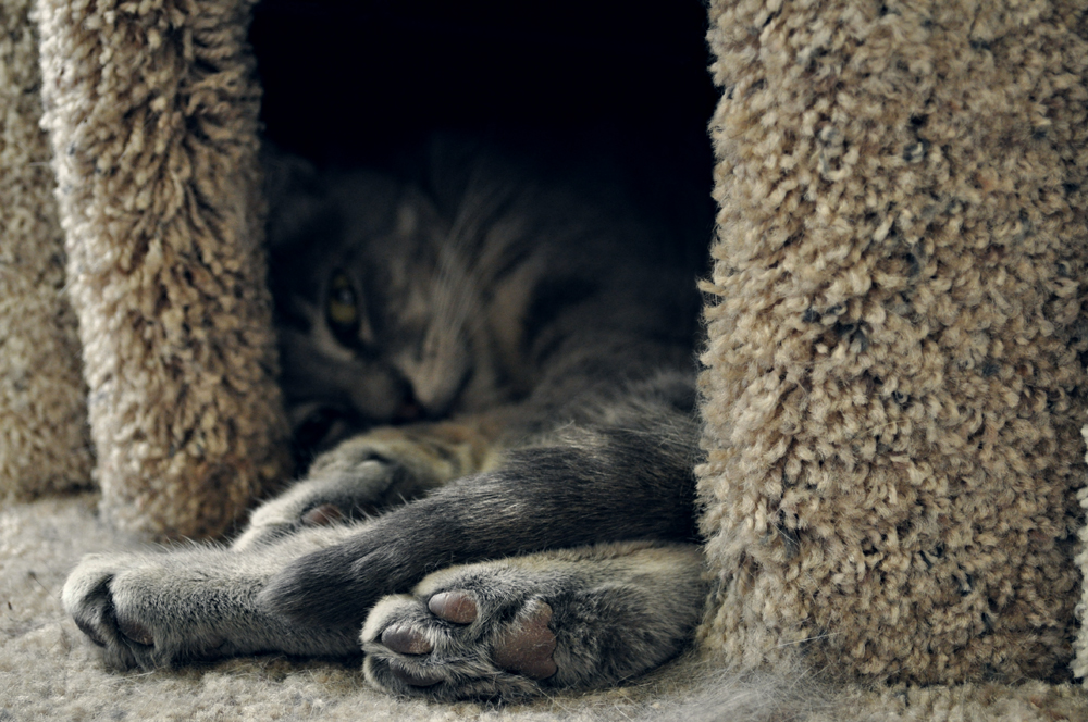 http://www.erinkoski.com/images/DSC_9101_retouch_1000a.jpg
